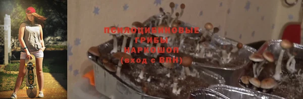 молекула духа Алексеевка