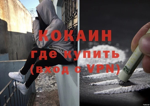 прущий лед Алзамай