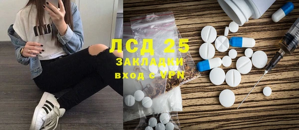 прущий лед Алзамай