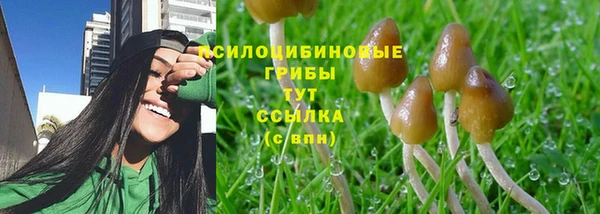 Альфа ПВП Зеленодольск