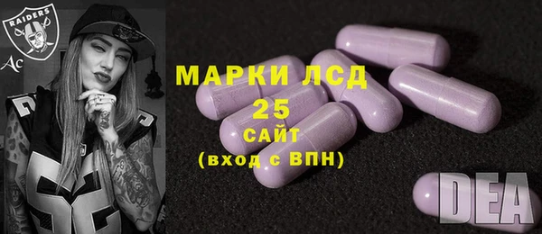 прущий лед Алзамай