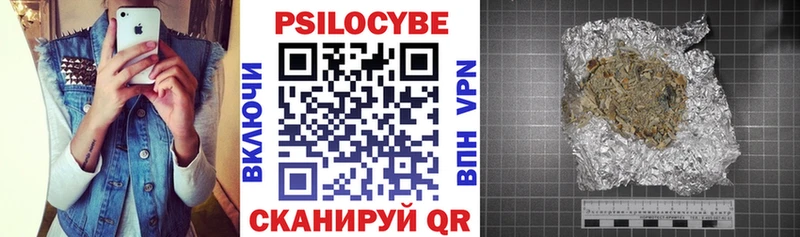 мориарти как зайти  Новозыбков  Псилоцибиновые грибы прущие грибы  как найти закладки 